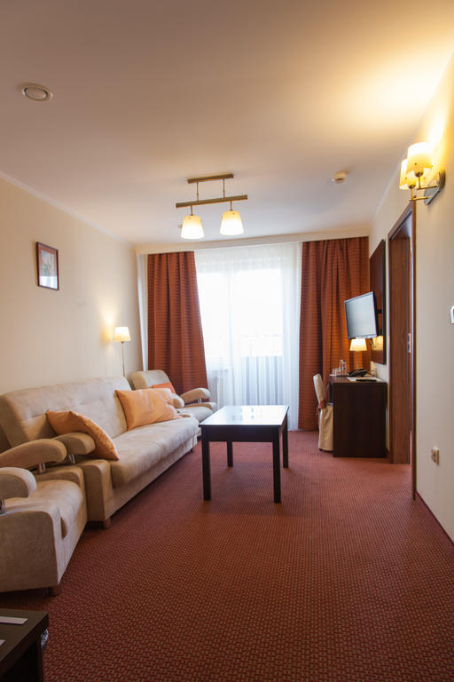 Hotel Ostrawa Wodzislaw Slaski Room photo